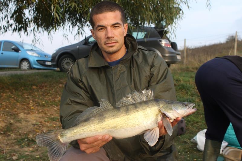 capturi - img1184.jpg